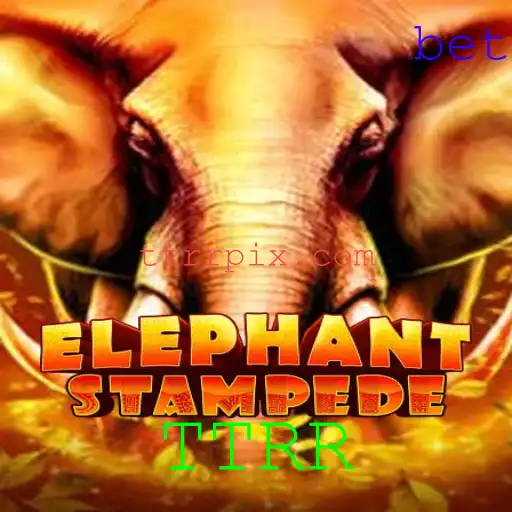 ElephantStampede: Um Mergulho no Mundo de TTRR