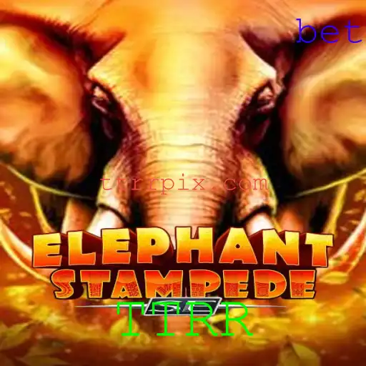 Descubra 'ElephantStampedeSE': O Jogo de Estratégia que Conquista o Mundo com a Nova Atualização 'TTRR'